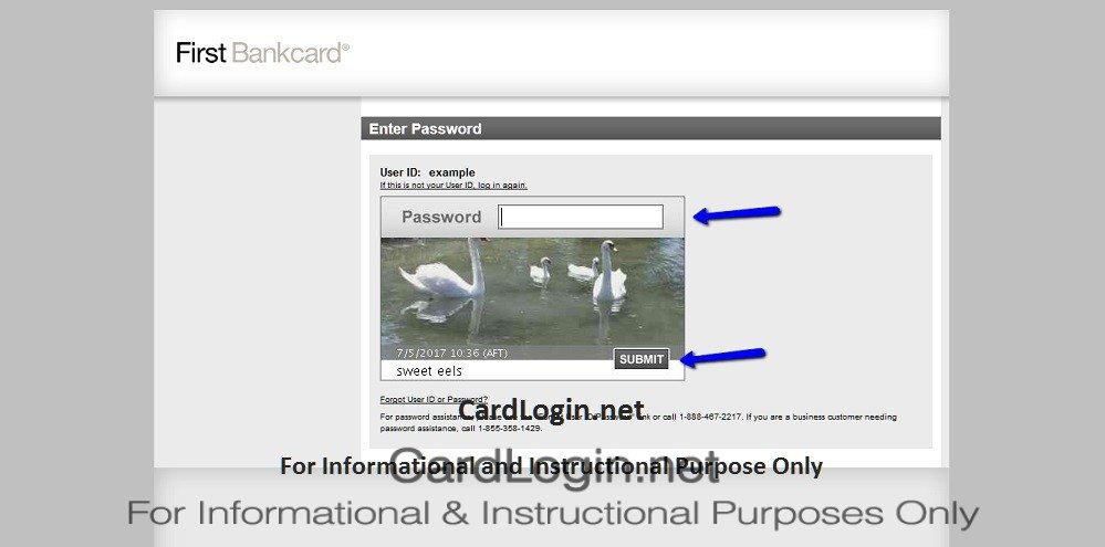 AmTrust_Bank_Platinum_Edition_Visa_Credit_Card_Login_2
